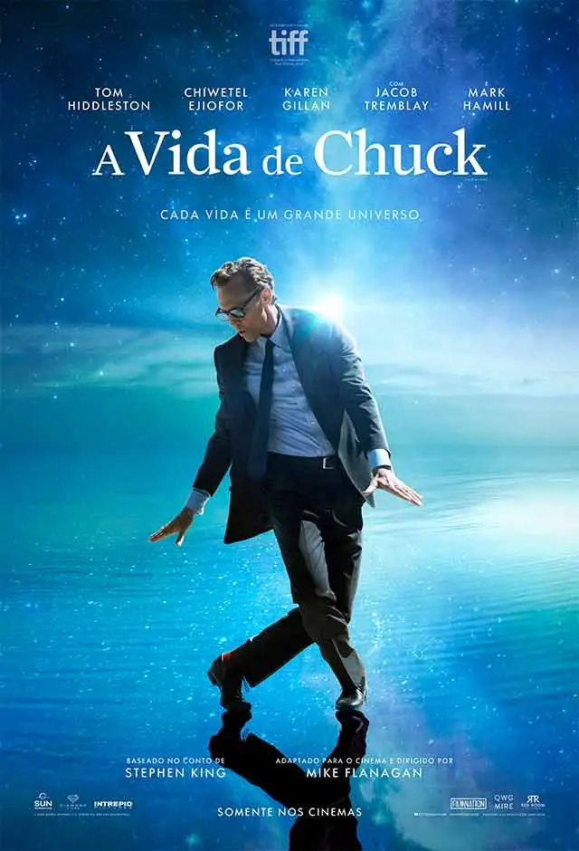 Pôster de A Vida de Chuck