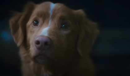Filme good Boy